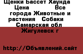 Щенки Бассет Хаунда  › Цена ­ 25 000 - Все города Животные и растения » Собаки   . Самарская обл.,Жигулевск г.